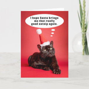Cartão De Festividades Feliz Natal Gato Divertido Pensando em Catnip Humo