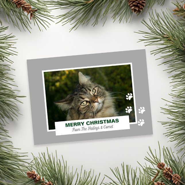 Cartão De Festividades Feliz Natal Gato White Paw Imprime Foto (Merry Christmas Cat White Paw Prints Photo Holiday Card)