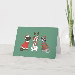 Cartão De Festividades Feliz Natal - Grande Dane Dogs