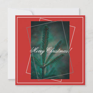 Cartão De Festividades Feliz Natal Green Pine Fir Tree Greeting Card