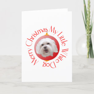Cartão De Festividades Feliz Natal Havanese