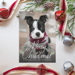 Cartão De Festividades Feliz Natal Holly Hand Lettering Foto<br><div class="desc">Estilo de vintagem nostálgico holly com a inscrição manual de "natal alegre" sobre a foto de sangria de cheio; adicione mais fotos ao lado traseiro,  se desejar.</div>