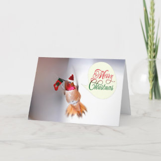 Cartão De Festividades Feliz Natal Hummingbird com Xmas Stocks