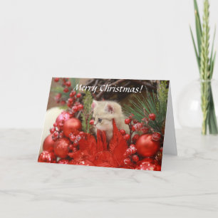 Cartão De Festividades Feliz Natal Kitty Personalize Seu Abertura Ho