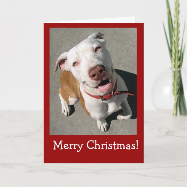 Cartão De Festividades Feliz Natal Melhor Freind (Frente)