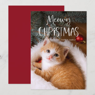 Cartão De Festividades Feliz Natal Meowy Foto de Gato de Estimação Dive
