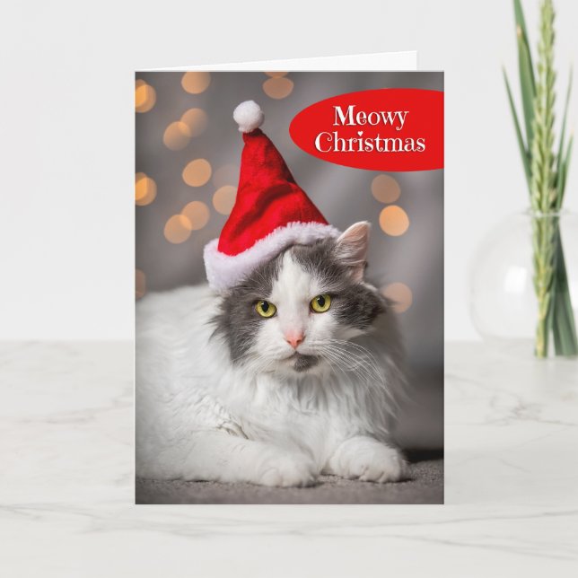 Cartão De Festividades Feliz Natal Meowy Para Qualquer Gatinho Fofo de Ch (Frente)