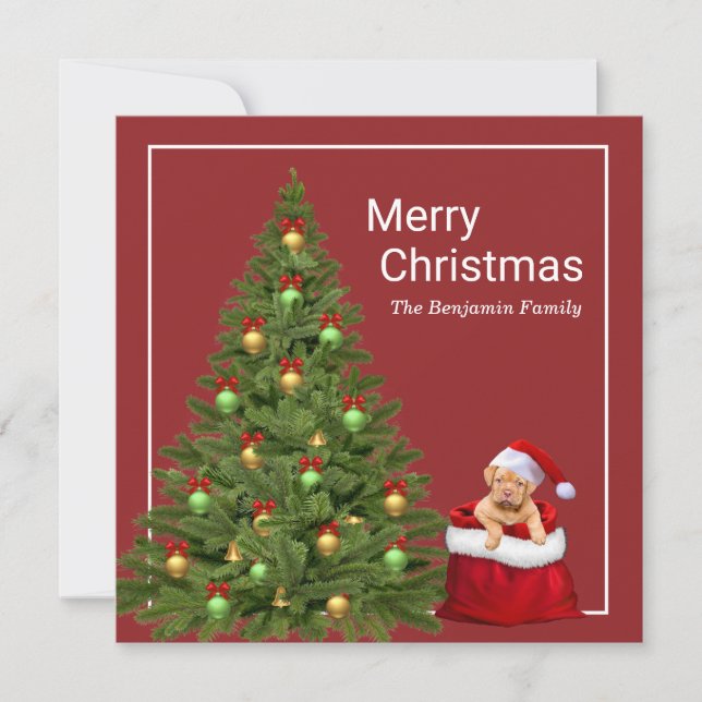 Cartão De Festividades Feliz Natal Papai Noel Divertido Personalizar Cach (Frente)