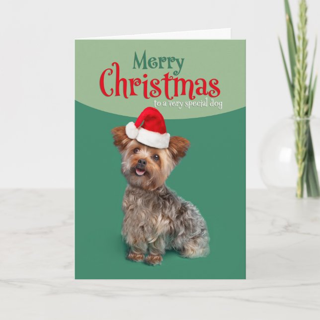 Cartão De Festividades Feliz Natal para cachorro adorável Yorkie em chapé (Frente)