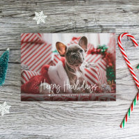 Feliz Natal para os Animais com Foto Única de Nata