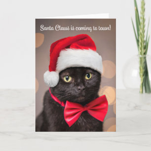 Cartão De Festividades Feliz Natal Para Qualquer Gato de Chapéu de Papai
