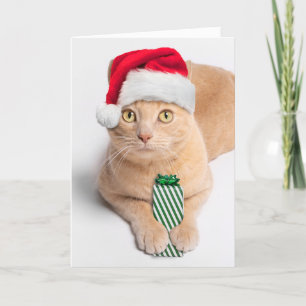 Cartão De Festividades Feliz Natal Para Qualquer Gato De Tabby Laranja