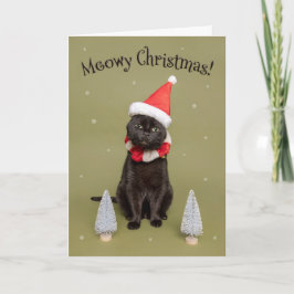 Cartão De Festividades Feliz Natal para Qualquer Gato Divertido de Chapéu