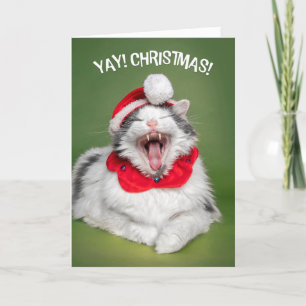 Cartão De Festividades Feliz Natal Para Qualquer Gato Feliz de Chapéu