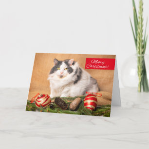 Cartão De Festividades Feliz Natal Para Qualquer Gato Fofo Humor
