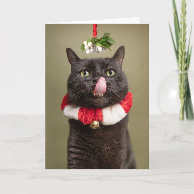 Cartão De Festividades Feliz Natal para qualquer gato sob o visco wit (Frente)
