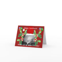 Feliz Natal Pomeraniano Puppy