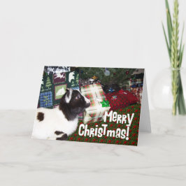 Cartão De Festividades Feliz Natal Presente com Goat Rufus