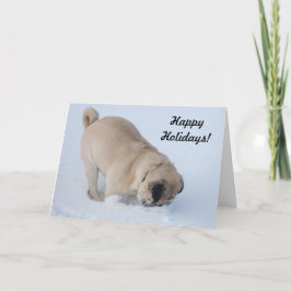 Cartão De Festividades Feliz Natal Pug cavando na neve
