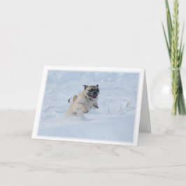 Cartão De Festividades Feliz Natal Pug Tocando no Natal da Neve