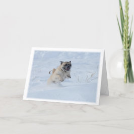 Cartão De Festividades Feliz Natal Pug Tocando no Natal da Neve