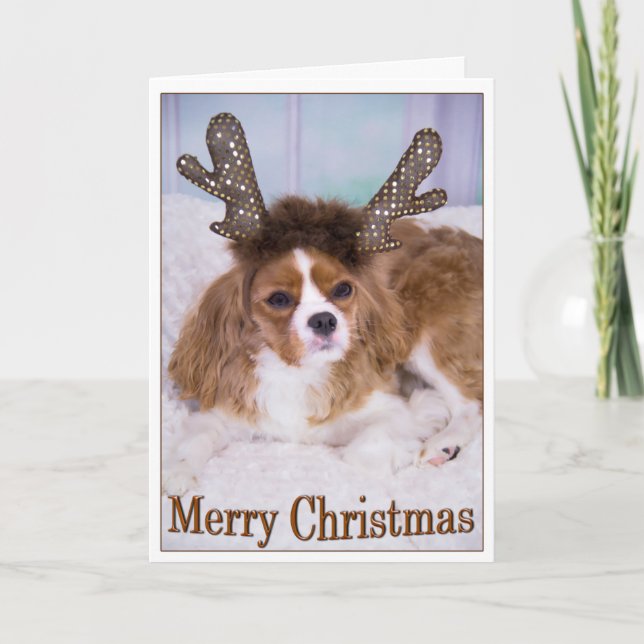 Cartão De Festividades Feliz Natal Raindeer Cavalier King Charles (Frente)