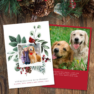 Cartão De Festividades Feliz Natal Red Cardinal 2 Foto