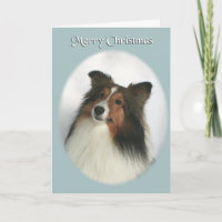 Feliz Natal Sheltie