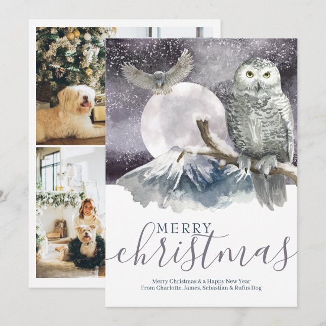 Cartão De Festividades Feliz Natal Snowy Owl Personalizado (Frente/Verso)