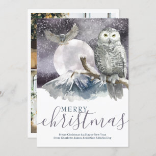 Cartão De Festividades Feliz Natal Snowy Owl Personalizado