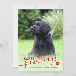 Cartão De Festividades Feliz Natalzinho Foto de Cachorro Pet Natal Modern