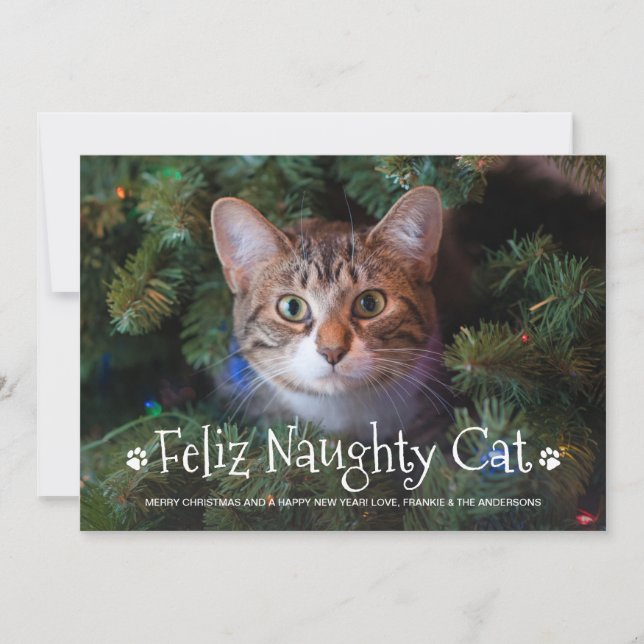 Cartão De Festividades Feliz Naughty Cat Engraçado Foto Personalizada de  (Frente)