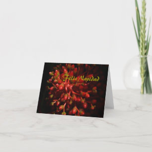 Cartão De Festividades Feliz Navidad