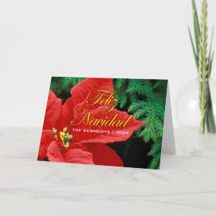 Cartão De Festividades Feliz Navidad - Arco Red Poinsettia e Fir