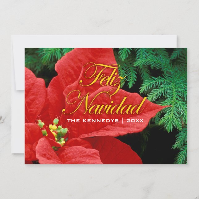 Cartão De Festividades Feliz Navidad - Arco Red Poinsettia e Fir (Frente)