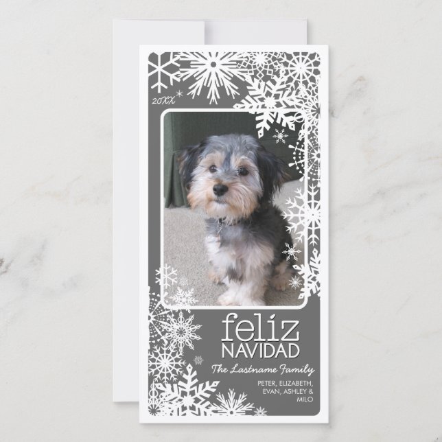 Cartão De Festividades Feliz Navidad Photo Card: Let It Snow! (Frente)