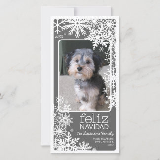 Cartão De Festividades Feliz Navidad Photo Card: Let It Snow!