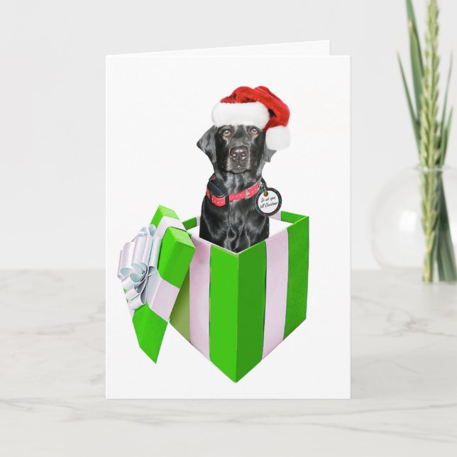Cartão De Festividades Feliz Navidog (Frente)