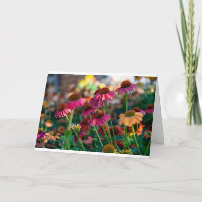 CARTÃO DE FESTIVIDADES FELIZ **PÁSCOA** E FELIZ **PRIMAVERA** (Frente)