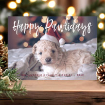 Feliz Pawlidays Roteiro Divertido e Fofo Foto de C
