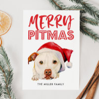 Feliz Pitmas | Papais noeis Engraçados Cão-Touro