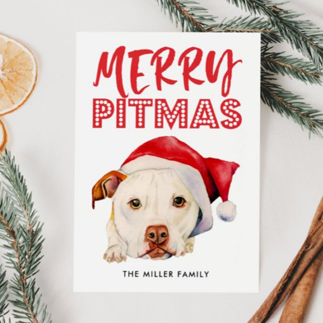 Cartão De Festividades Feliz Pitmas | Papais noeis Engraçados Cão-Touro (Criador carregado)