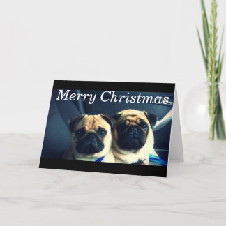 Cartão De Festividades Feliz pug xmas
