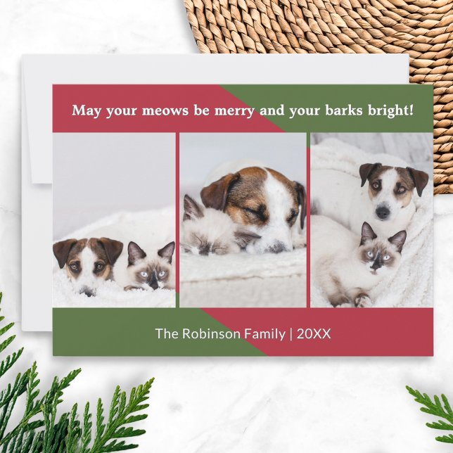 Cartão De Festividades Feliz Significa Feliz Natal de Gato de Cachorro (A funny Christmas card with a dogs and cats themed quote, to personalize with 3 of your own photos)