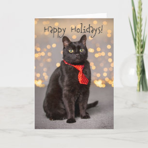 Cartão De Festividades Felizes Festas Para Qualquer Gatinho Preto Fofo