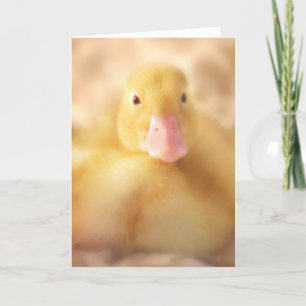 Cartão De Festividades Felpudo Páscoa de Pato Amarelo