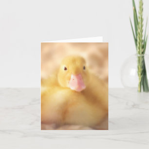 Cartão De Festividades Felpudo Páscoa de Pato Amarelo