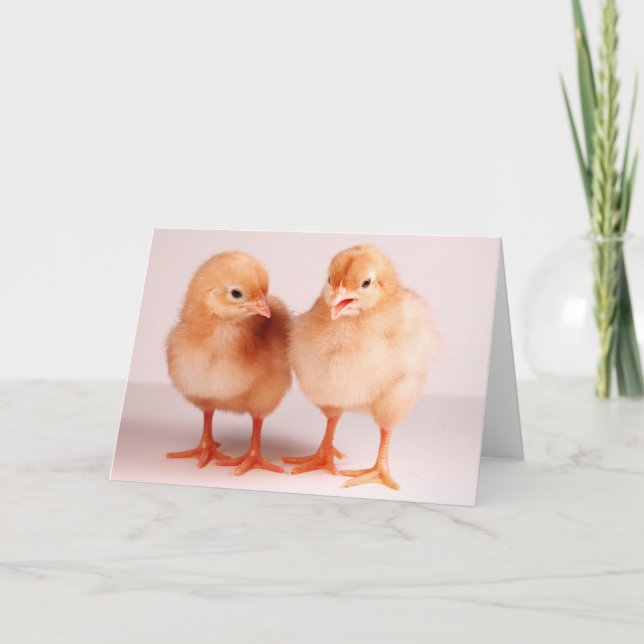 Cartão De Festividades Felz pascoa! (Frente)