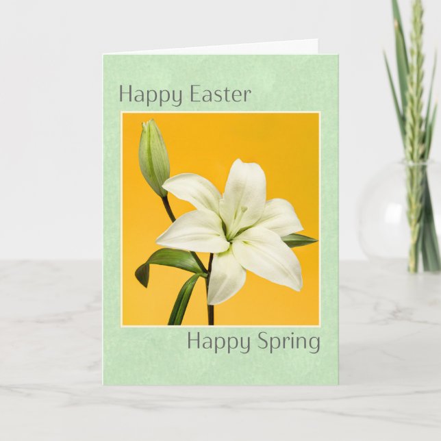 Cartão De Festividades Felz pascoa e Primavera Bela Foto Lily Branca (Frente)