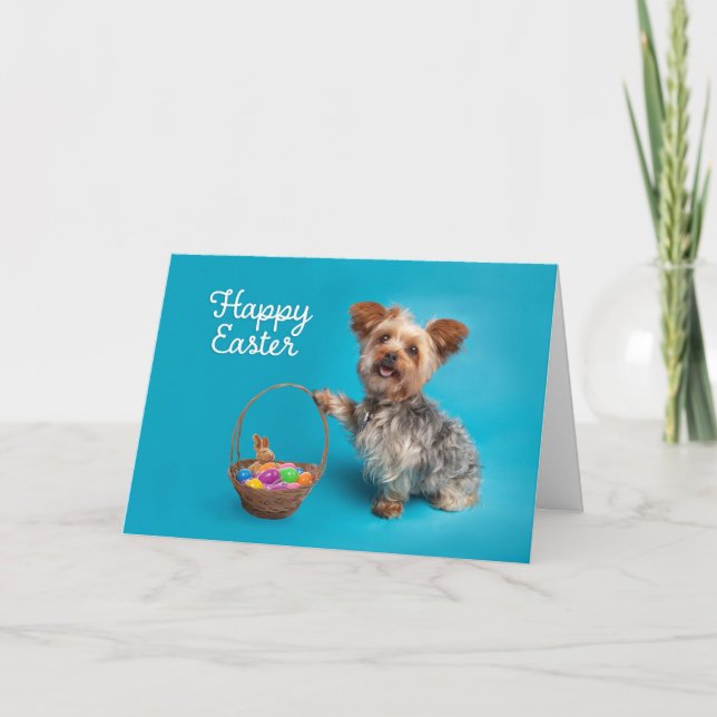 Cartão De Festividades Felz pascoa Para Qualquer Cachorro De Yorkie Cute (Frente)